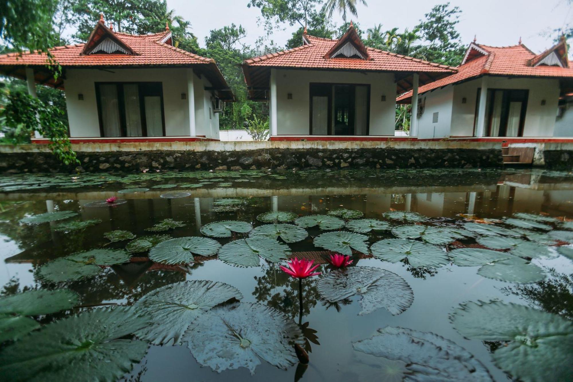 Palmgrove Lake Resort Alappuzha المظهر الخارجي الصورة