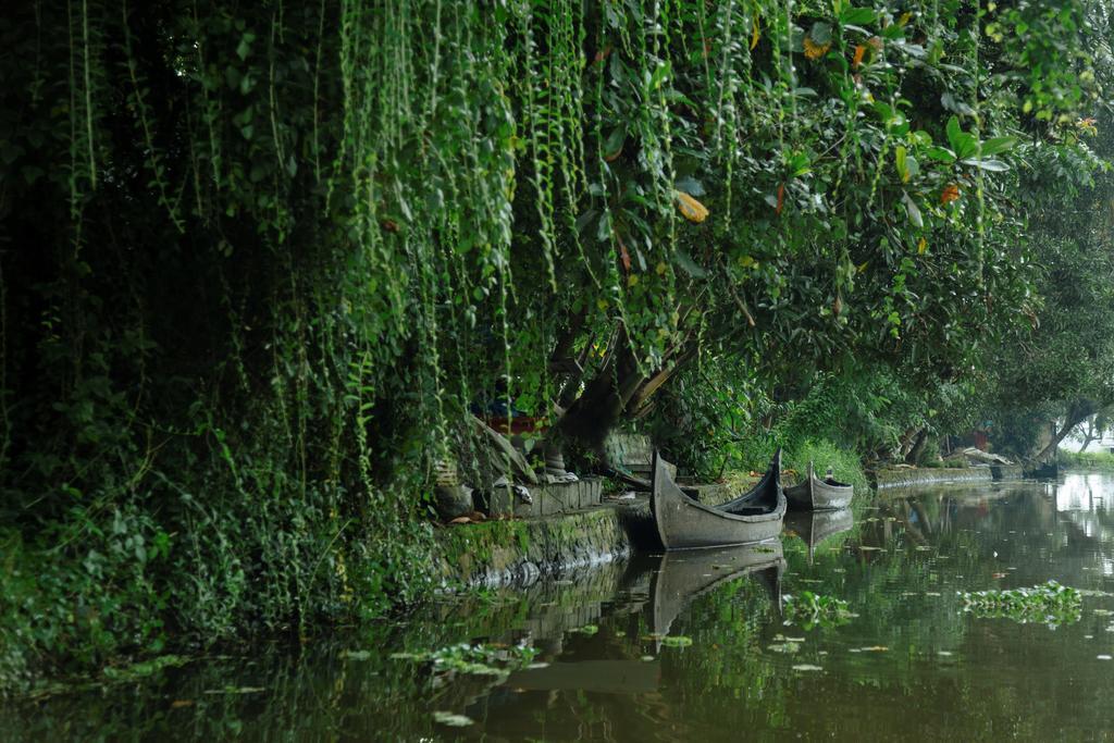 Palmgrove Lake Resort Alappuzha المظهر الخارجي الصورة