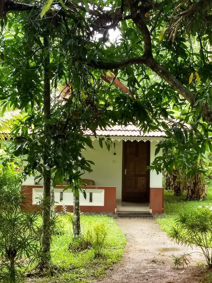 Palmgrove Lake Resort Alappuzha المظهر الخارجي الصورة